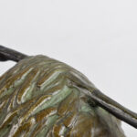 Vogelnest 12