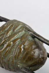 Vogelnest 12