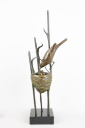 Vogelnest 3