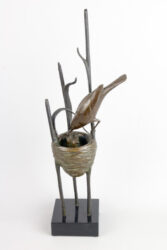 Vogelnest 5
