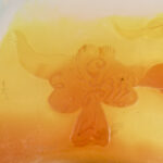 Binnenbloemen 7