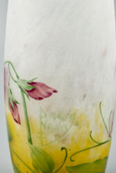 Lathyrus 11