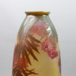 Oleander 11