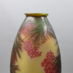 Oleander 12