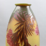 Oleander 6