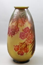 Oleander 10