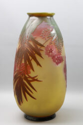 Oleander 11