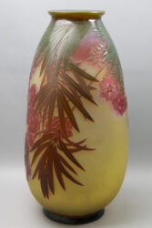 Oleander 19