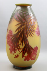 Oleander 6