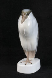 Kwak 8
